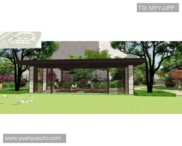 深圳街舞队的文化意识与城市活力交融探索之旅